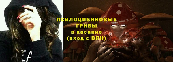 эйфоретик Арсеньев