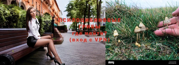 эйфоретик Арсеньев