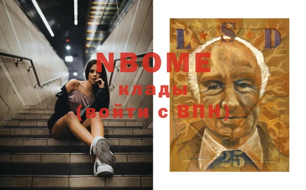 сатива Няндома