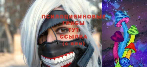гидропоника Балахна