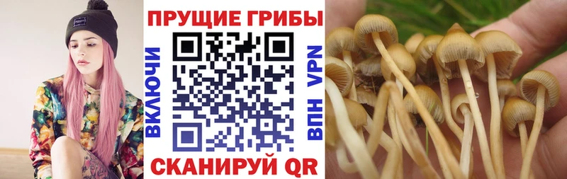 Псилоцибиновые грибы MAGIC MUSHROOMS  Петухово 